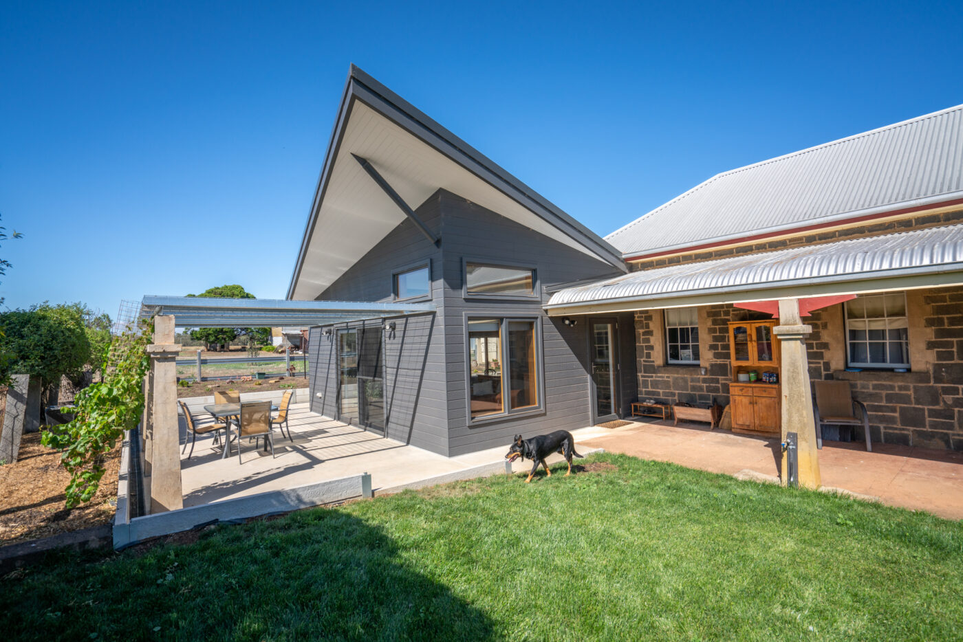 Modern Australian home with patio and dog outside.